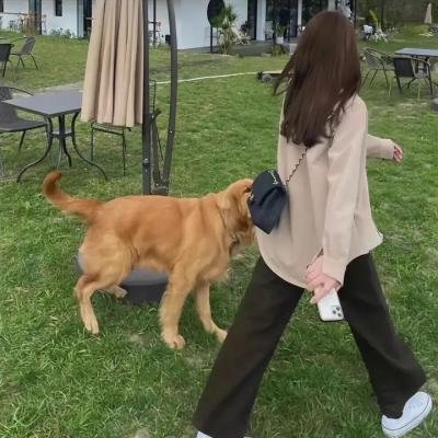 女高中生给你做饭了